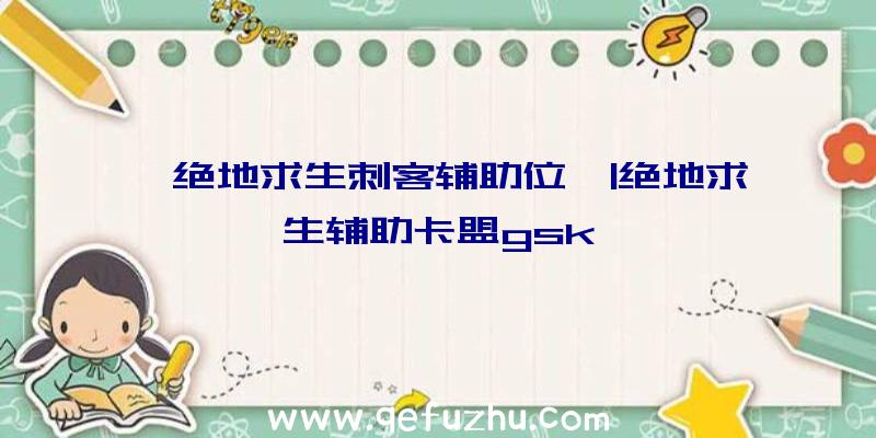 「绝地求生刺客辅助位」|绝地求生辅助卡盟gsk